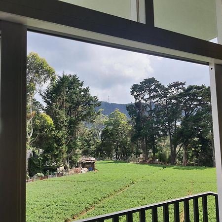 Green Mount View Two Bed Room Apartment Nuwara Eliya Exterior photo